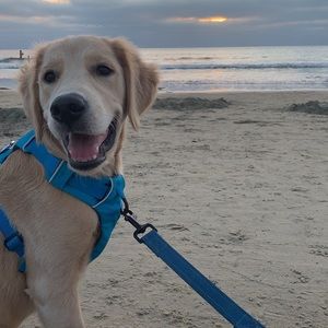 Meet your Posher, Derrick